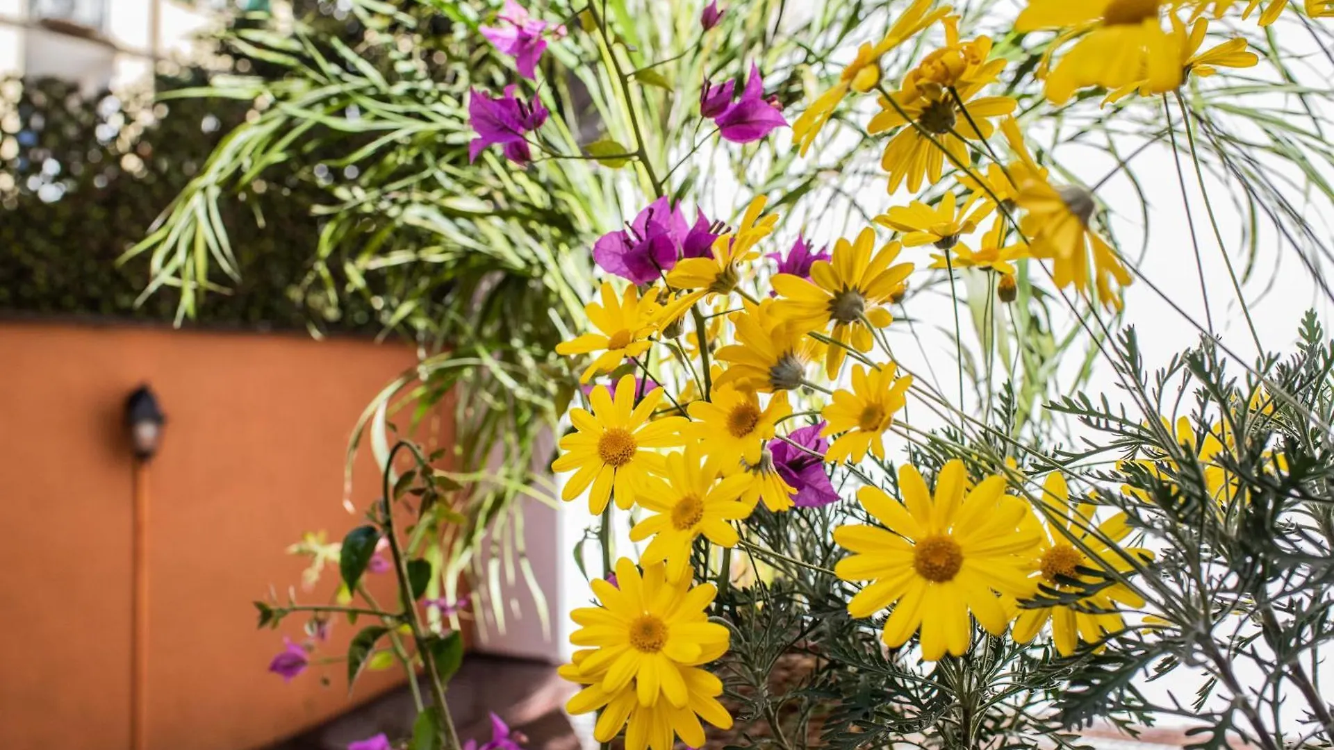 Spanish Steps Apartment & Terrace Rome