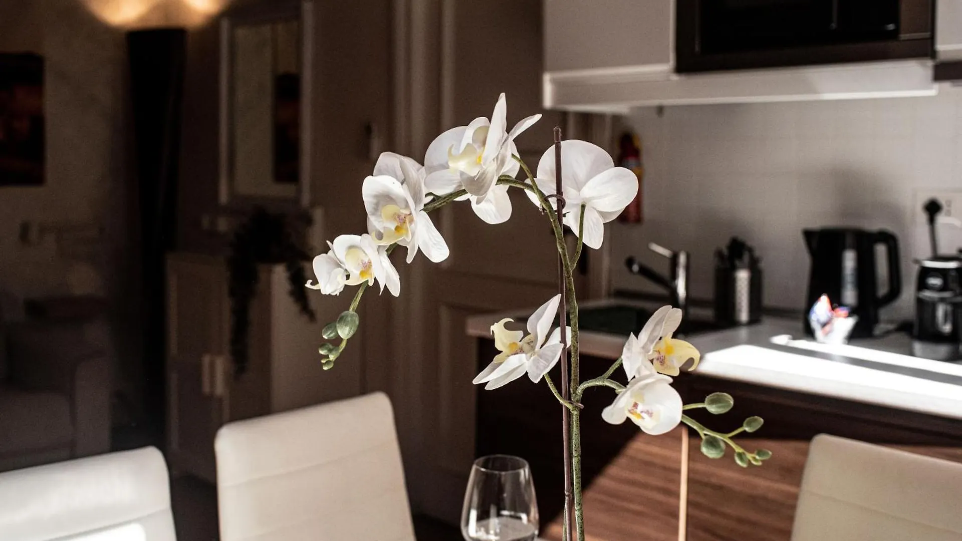 Spanish Steps Apartment & Terrace Rome